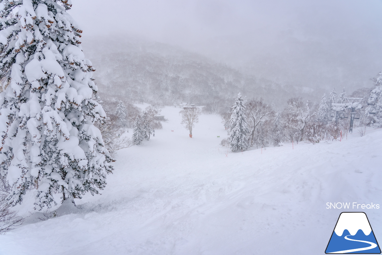 キロロリゾート｜ただいま北海道内最深の積雪160cm。午後のゲレンデで快適粉雪クルージング！